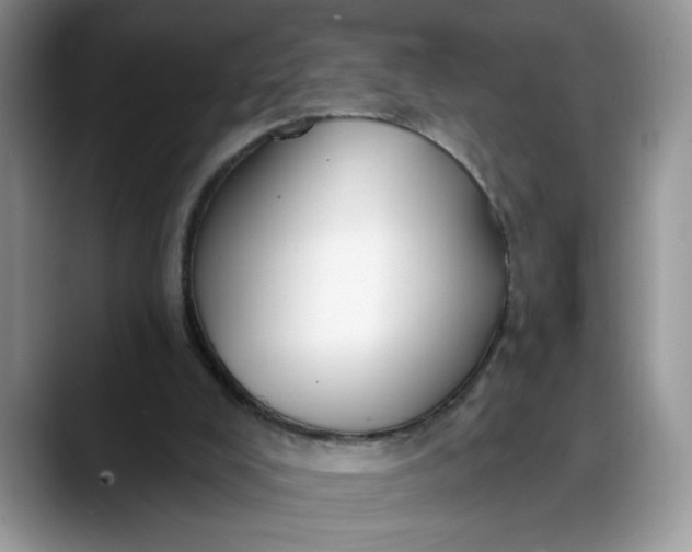 X0000088220008200705292123