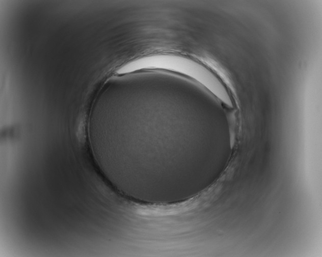 X0000088220009200705292123