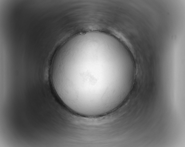 X0000088220010200705292123