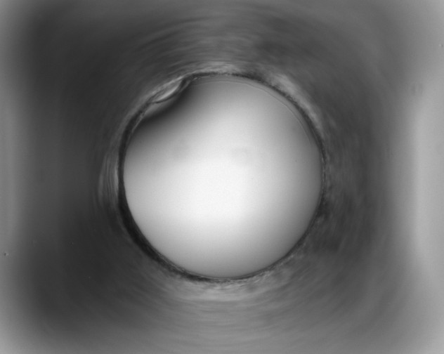 X0000088220011200705292123