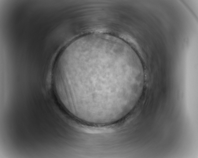 X0000088220012200705292123