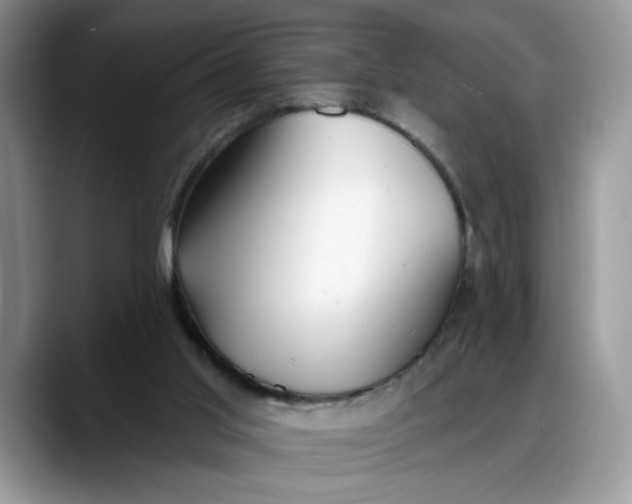 X0000088220013200705292123