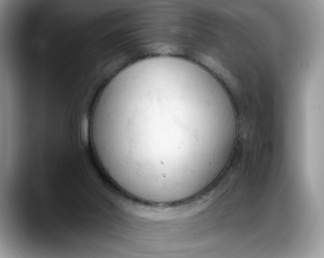 X0000088220014200705292123