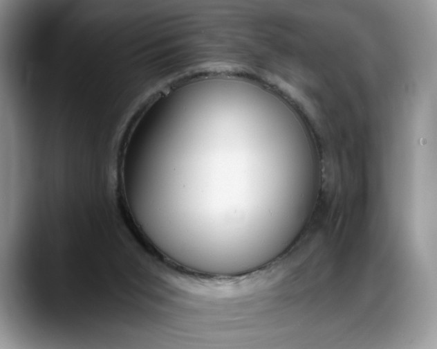 X0000088220015200705292123