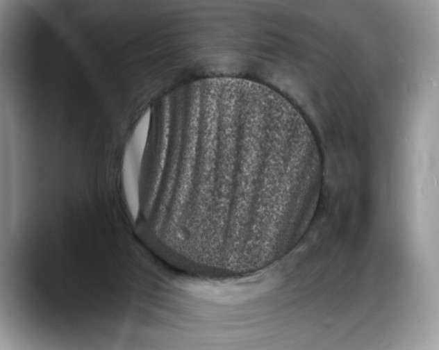 X0000088220017200705292123