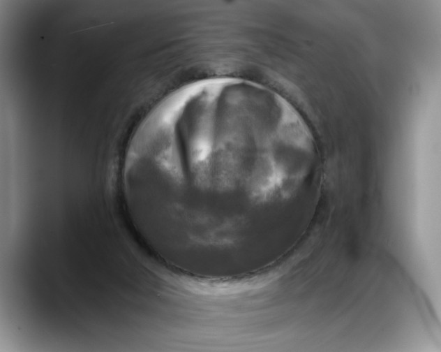 X0000088220018200705292123