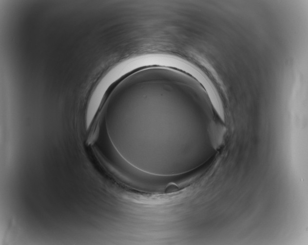 X0000088220019200705292123