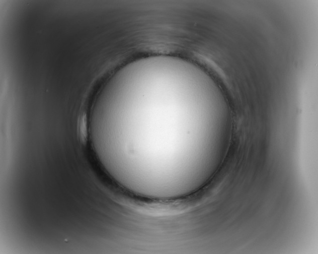 X0000088220020200705292123