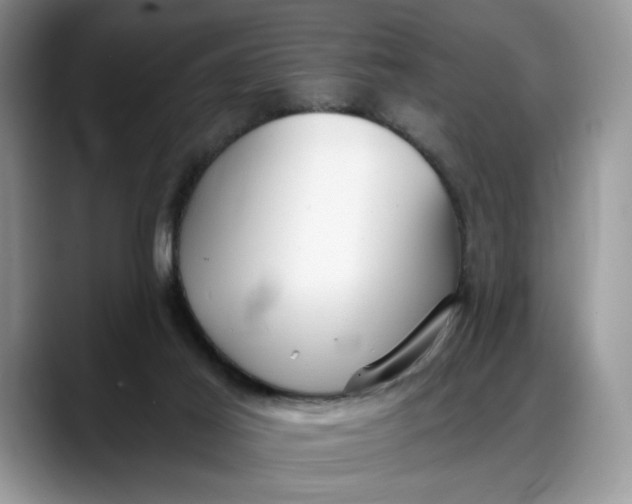 X0000088220021200705292123