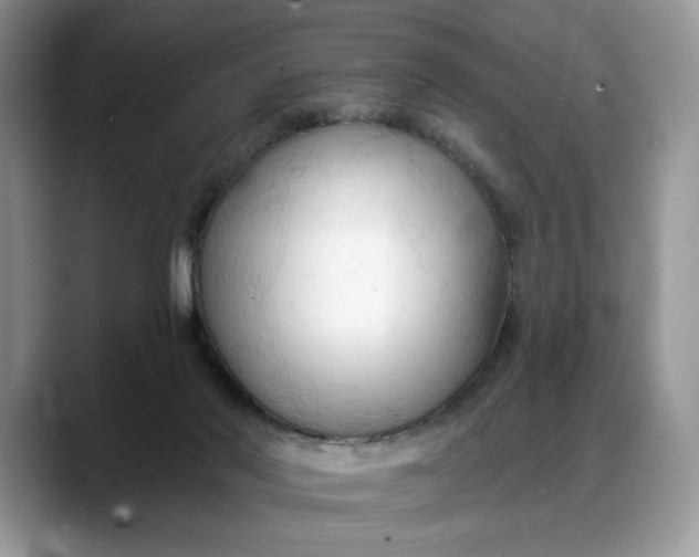 X0000088220022200705292123