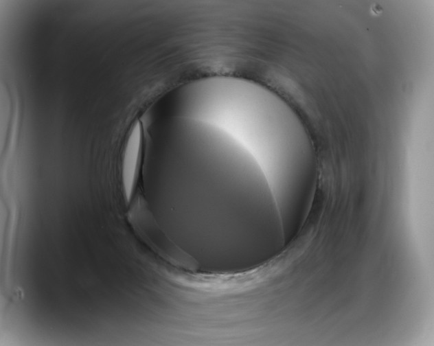 X0000088220023200705292123