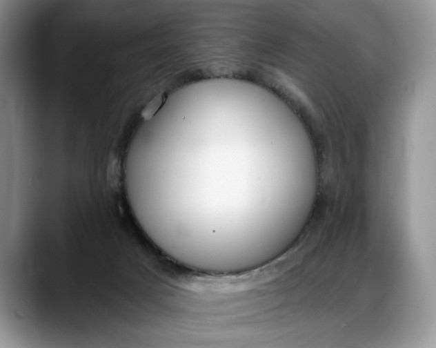 X0000088220025200705292123