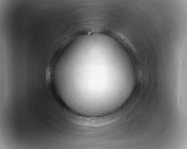 X0000088220026200705292123