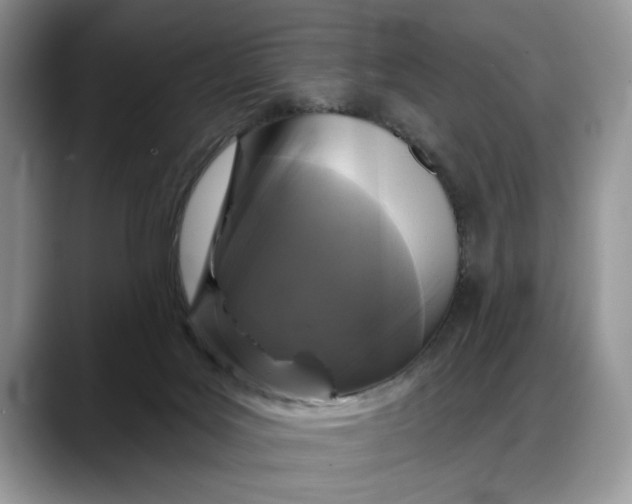 X0000088220027200705292123