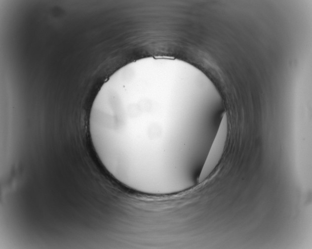 X0000088220029200705292123