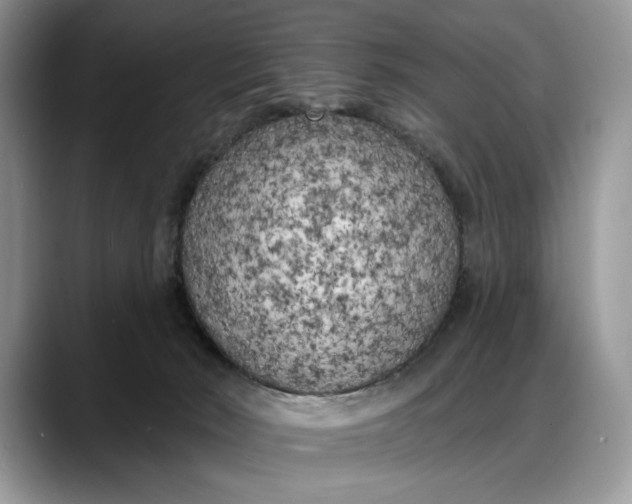 X0000088220030200705292123