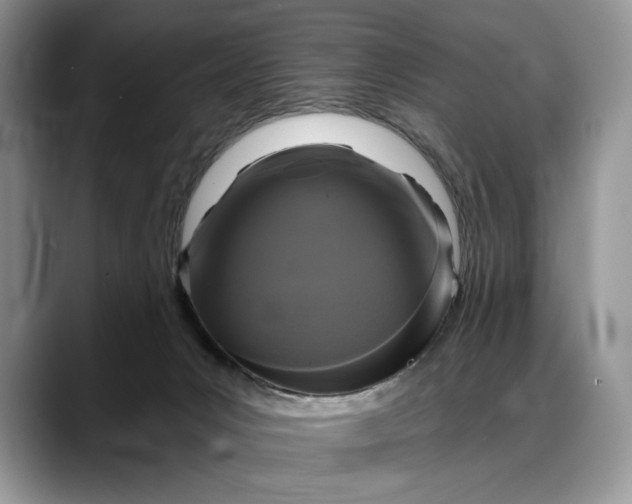 X0000088220031200705292123