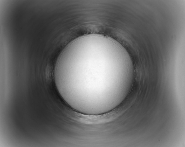 X0000088220034200705292123