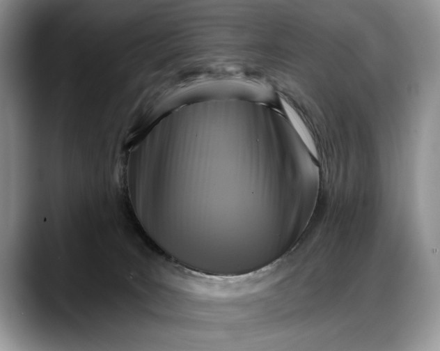 X0000088220035200705292123