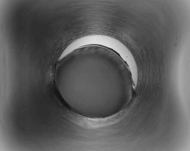 X0000088220039200705292123