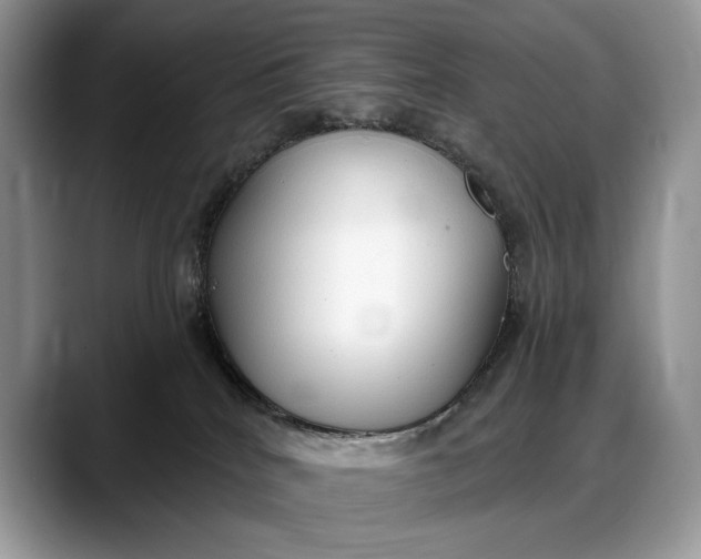 X0000088220040200705292123