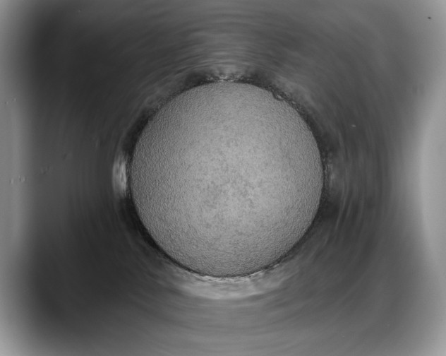 X0000088220042200705292122