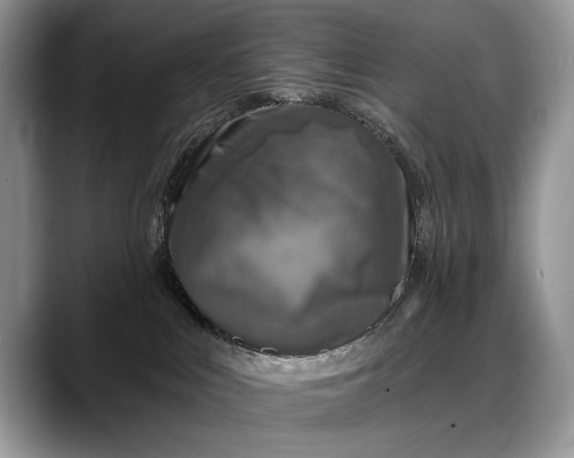 X0000088220043200705292122