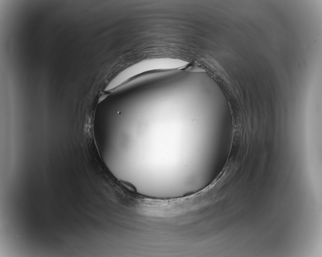 X0000088220045200705292122