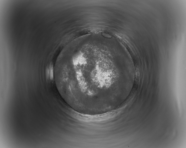 X0000088220046200705292122