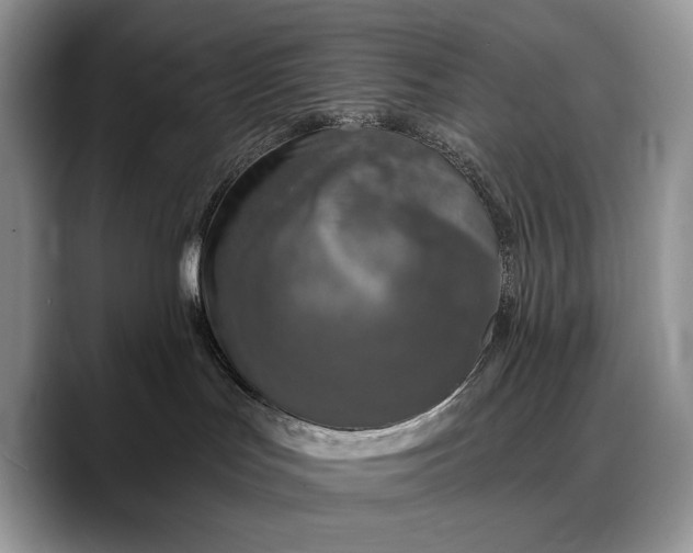 X0000088220047200705292122