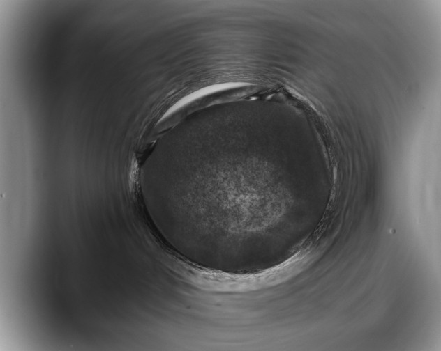 X0000088220048200705292122