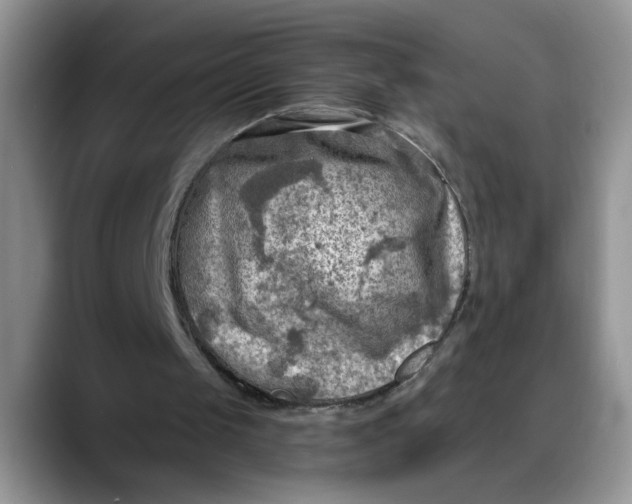 X0000088220049200705292122