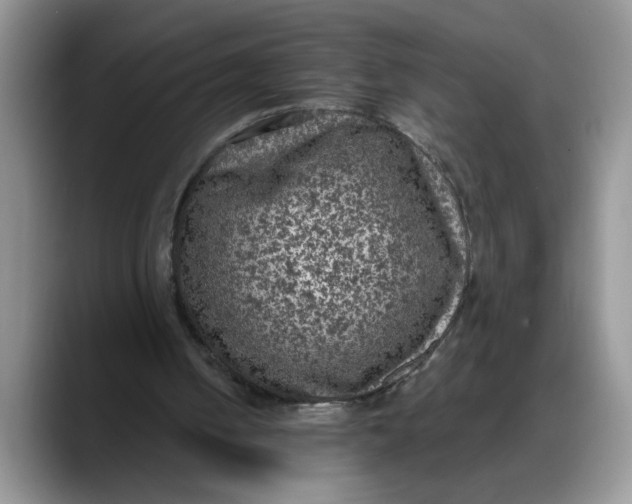 X0000088220050200705292122