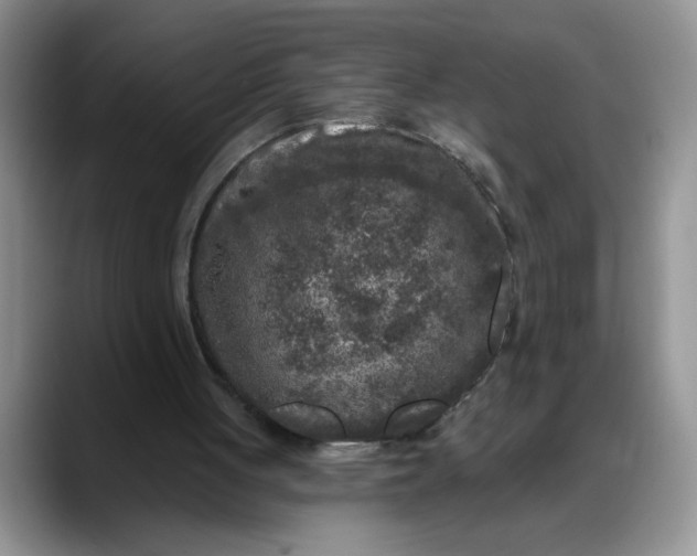 X0000088220051200705292122