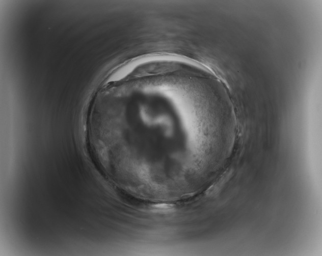 X0000088220053200705292122