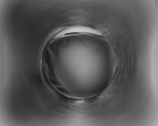 X0000088220054200705292122