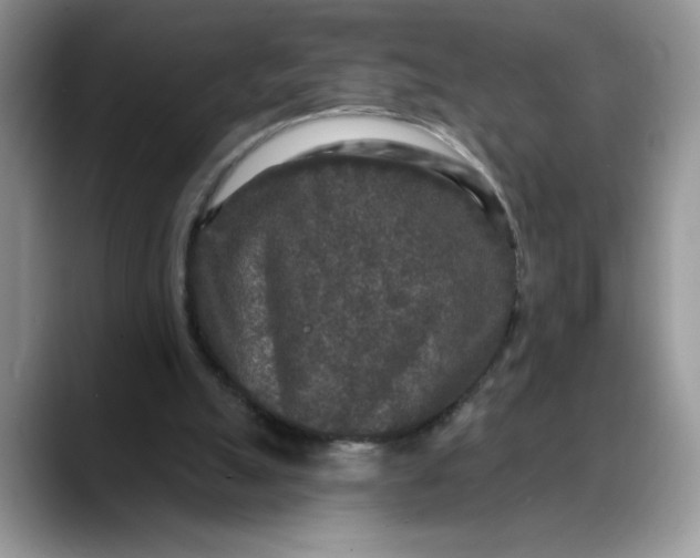 X0000088220055200705292122