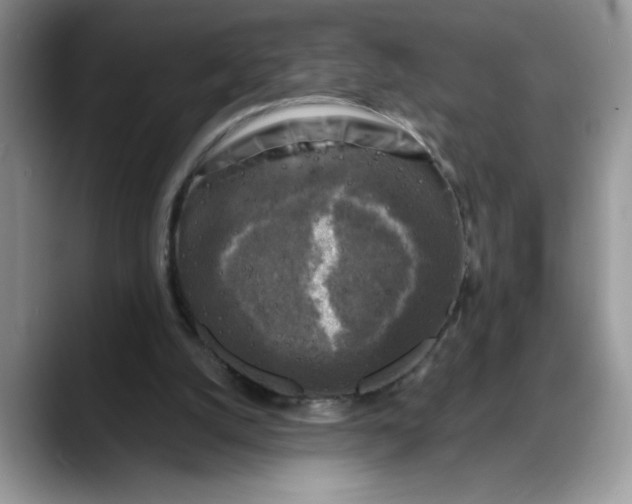 X0000088220056200705292122