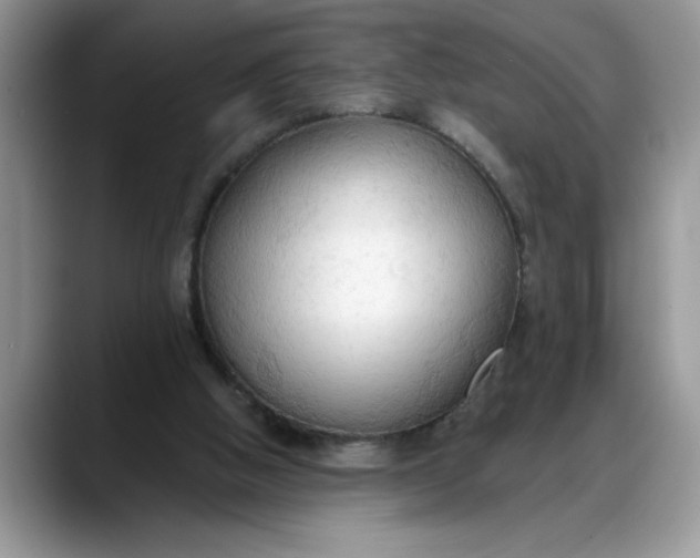 X0000088220058200705292122