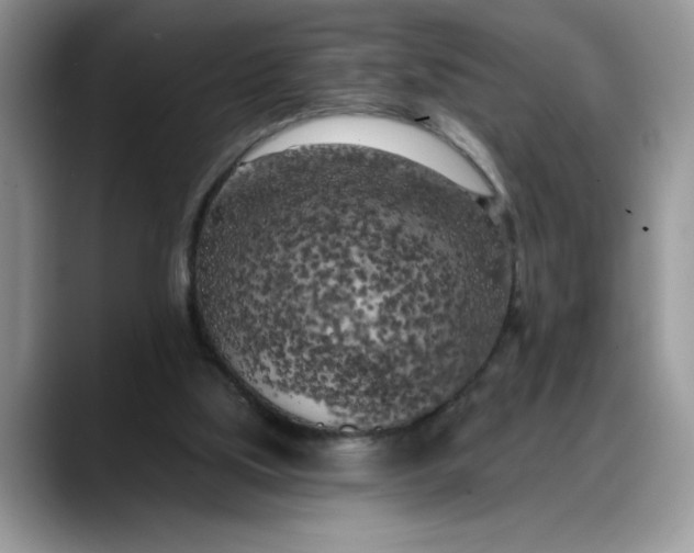 X0000088220059200705292122