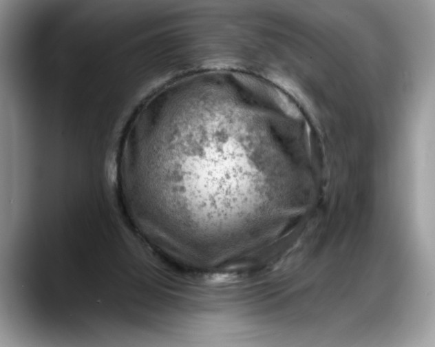 X0000088220060200705292122