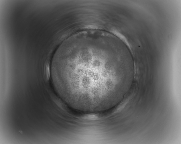 X0000088220061200705292122