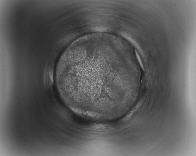 X0000088220062200705292122