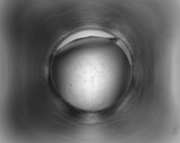 X0000088220063200705292122