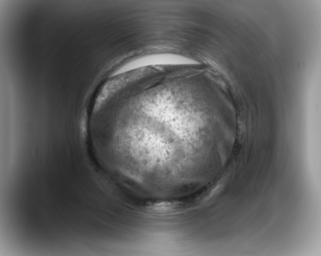 X0000088220064200705292122