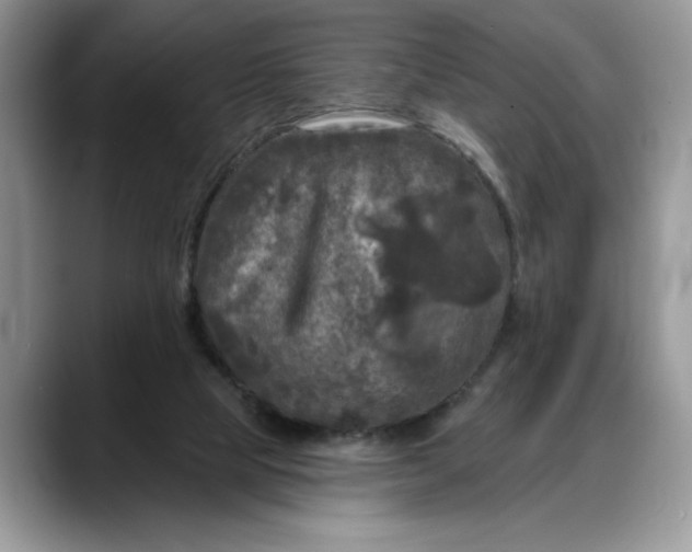 X0000088220065200705292122