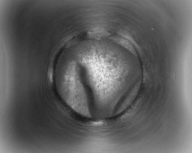 X0000088220068200705292122