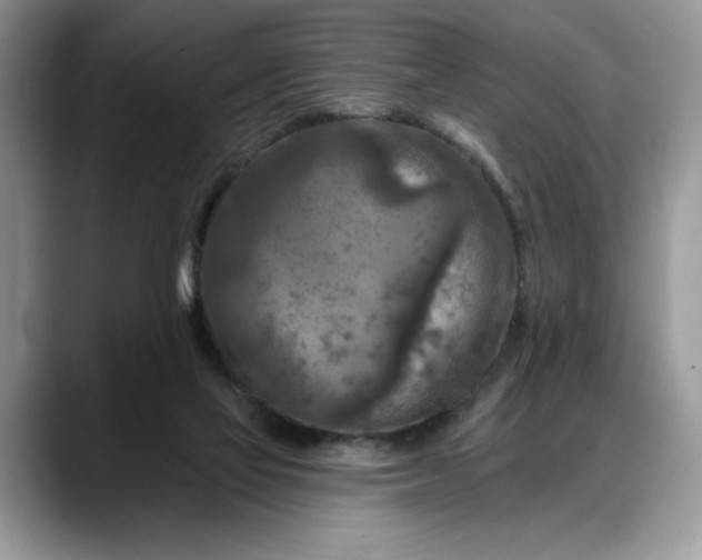 X0000088220069200705292122