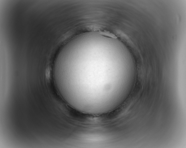 X0000088220071200705292122