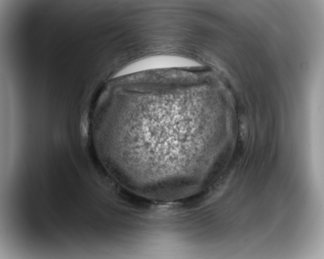 X0000088220072200705292122